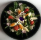 Wildkräuter Salat-005